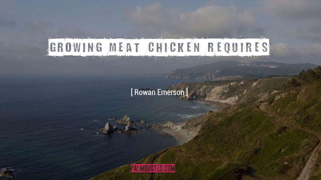 Cheeps Chicken quotes by Rowan Emerson