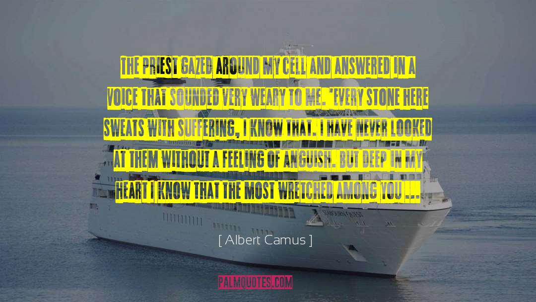 Cheer Me Up quotes by Albert Camus