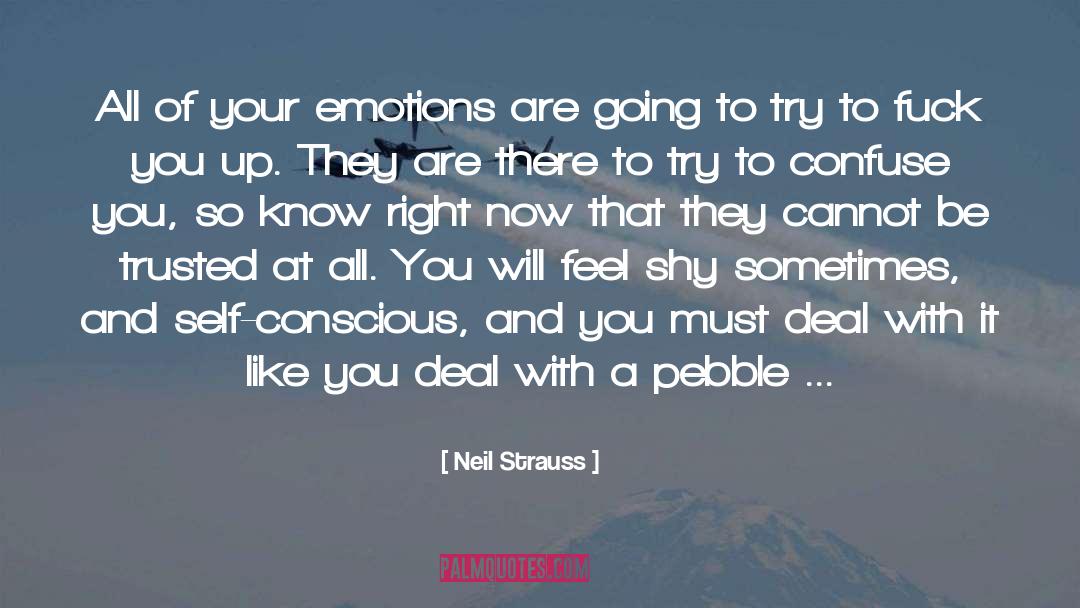 Cheer You Up quotes by Neil Strauss