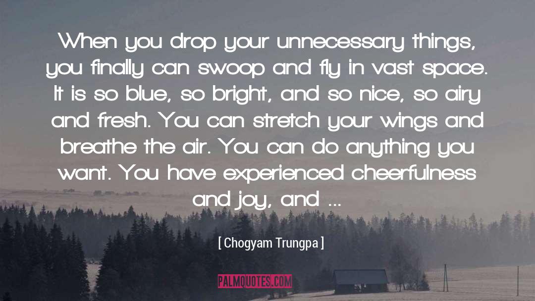 Cheerfulness quotes by Chogyam Trungpa