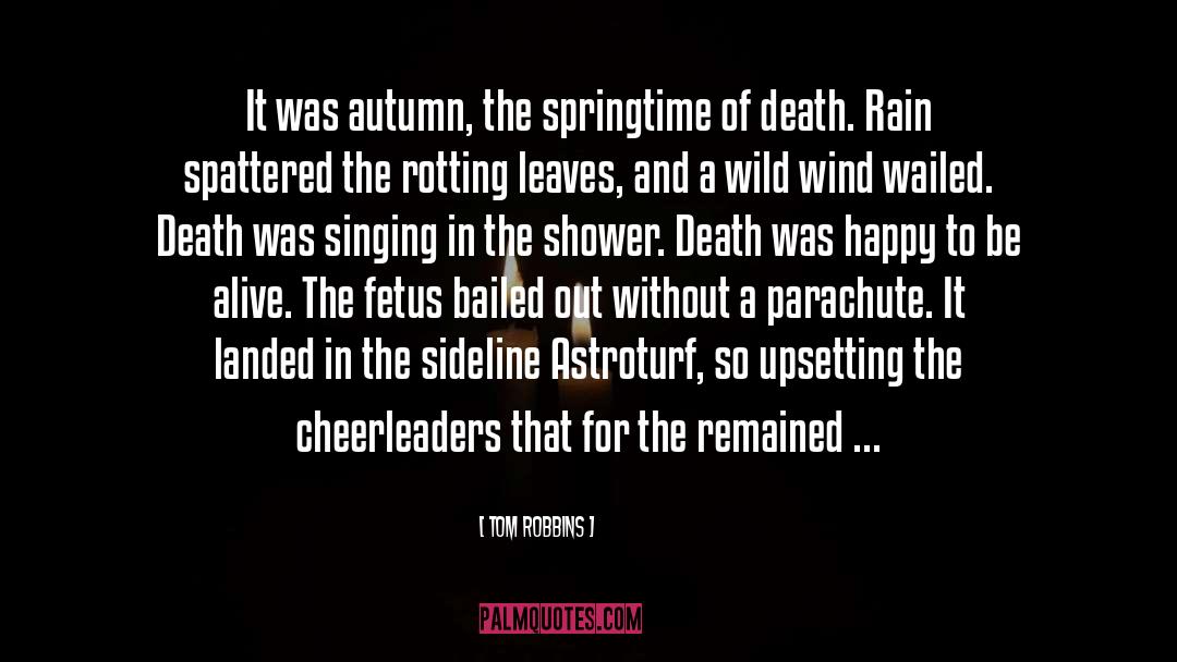 Cheerleaders quotes by Tom Robbins