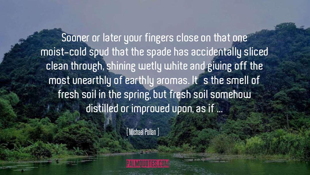 Cheers To Us quotes by Michael Pollan