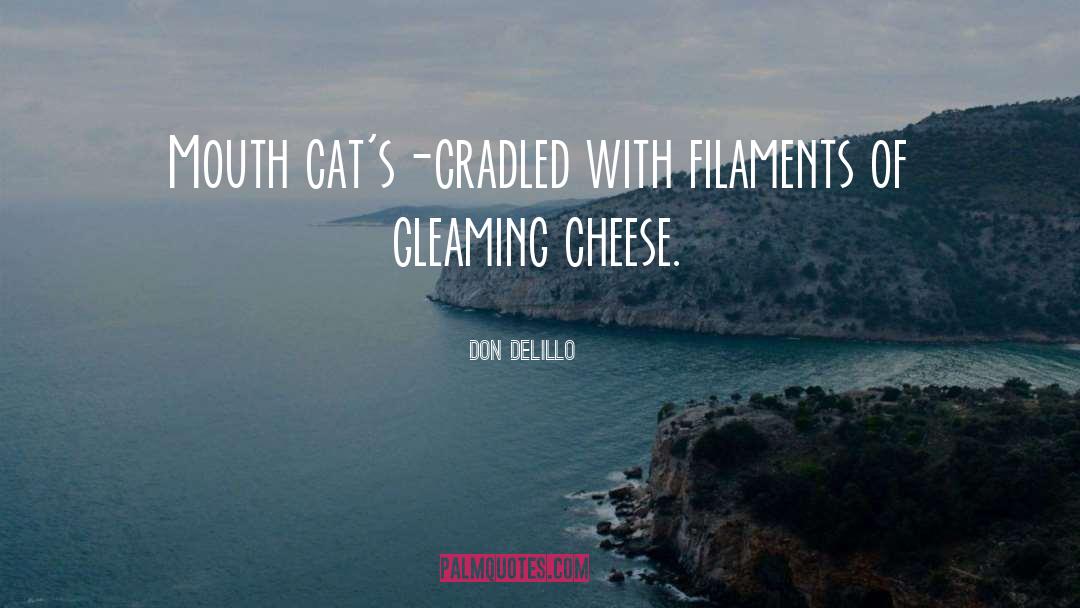 Cheese quotes by Don DeLillo