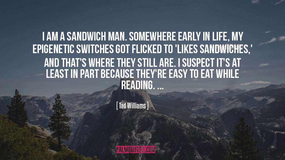 Cheese Sandwiches quotes by Tad Williams