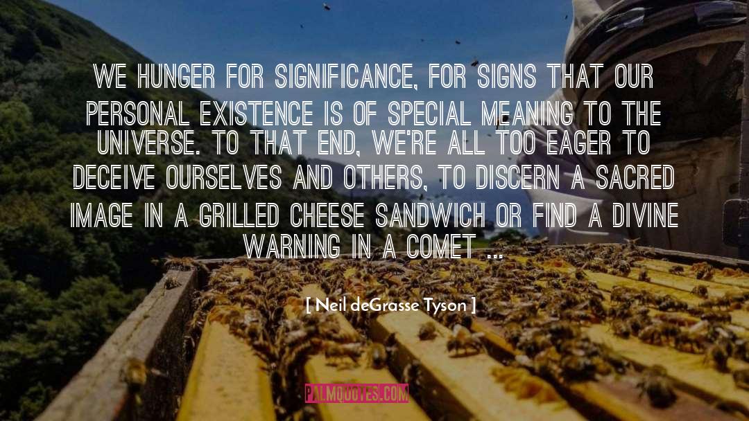 Cheese Sandwiches quotes by Neil DeGrasse Tyson
