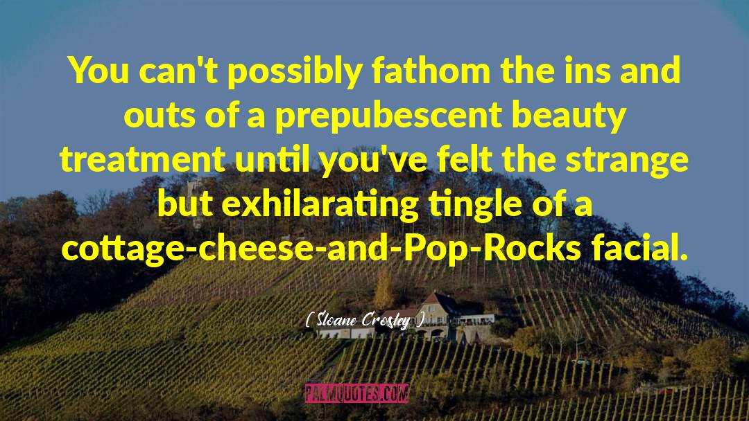 Cheese Symphony quotes by Sloane Crosley
