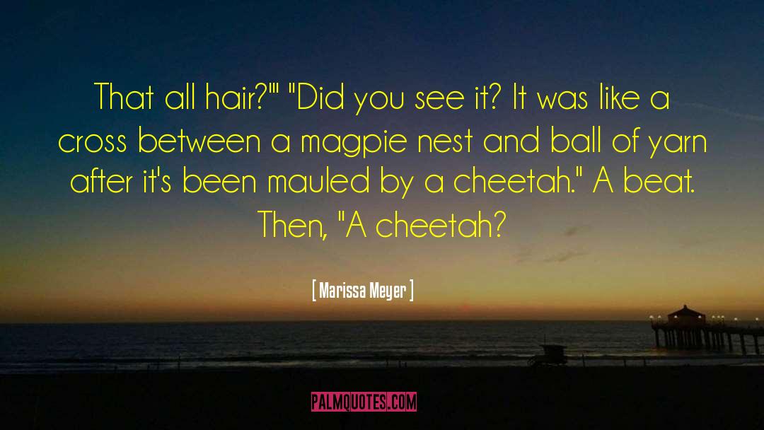 Cheetah quotes by Marissa Meyer