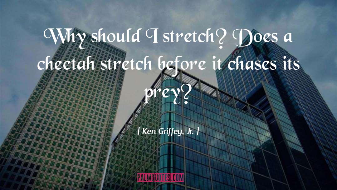 Cheetah quotes by Ken Griffey, Jr.