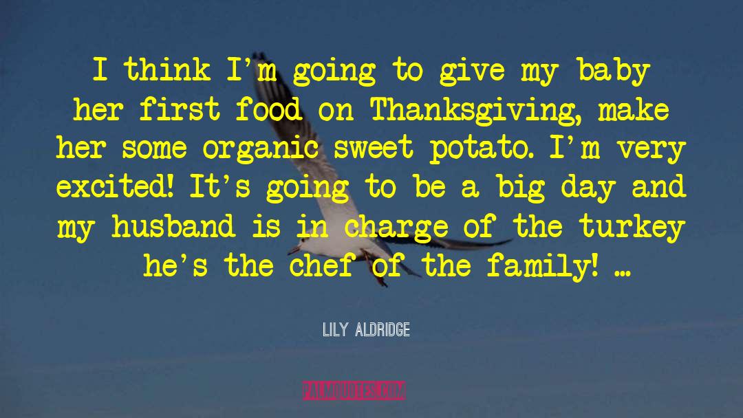 Chef Family quotes by Lily Aldridge