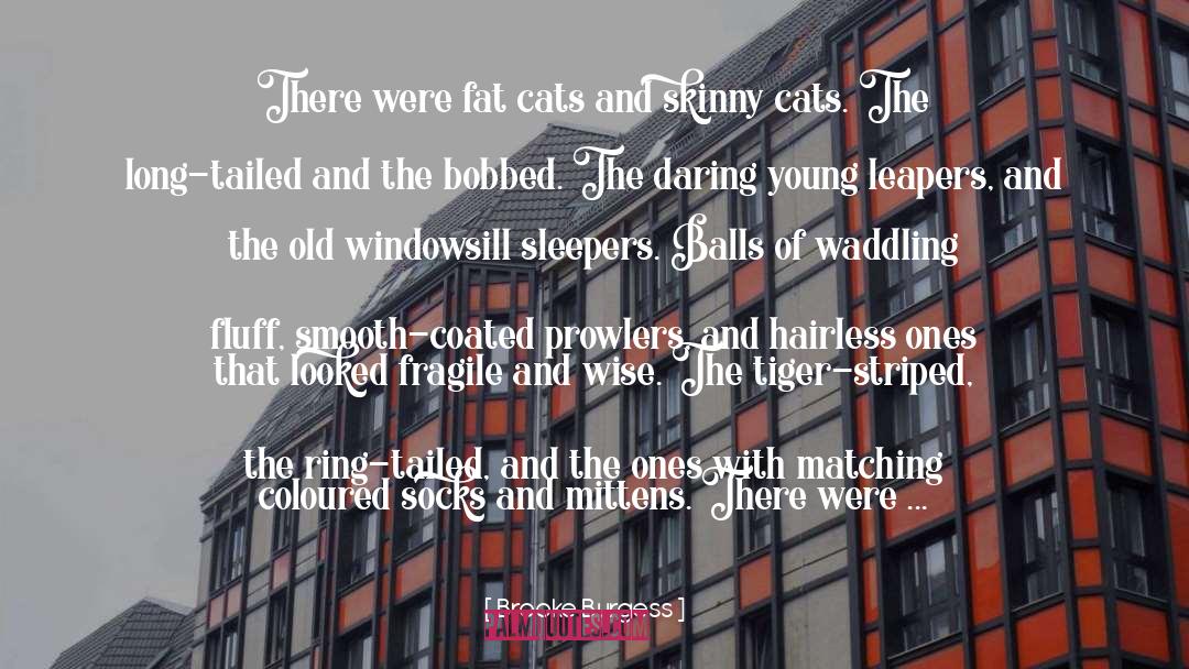 Chelsea Horror Hotel quotes by Brooke Burgess