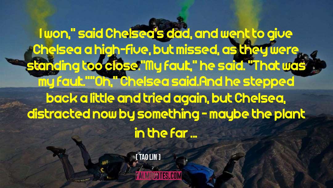 Chelsea Illusions quotes by Tao Lin