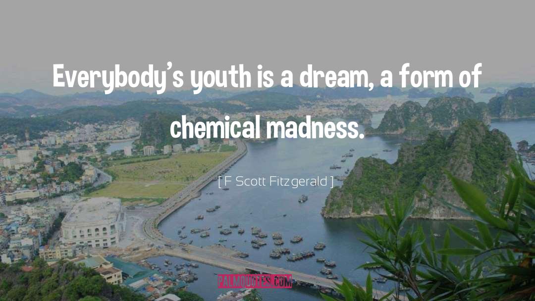 Chemical B2b Portal quotes by F Scott Fitzgerald