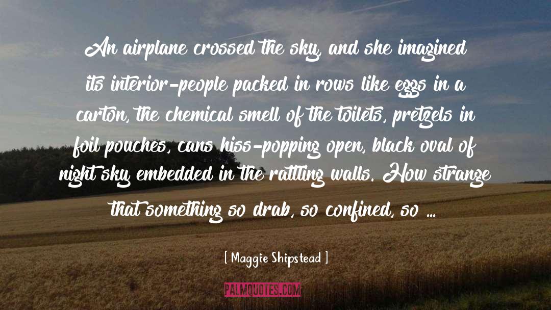 Chemical Bond quotes by Maggie Shipstead