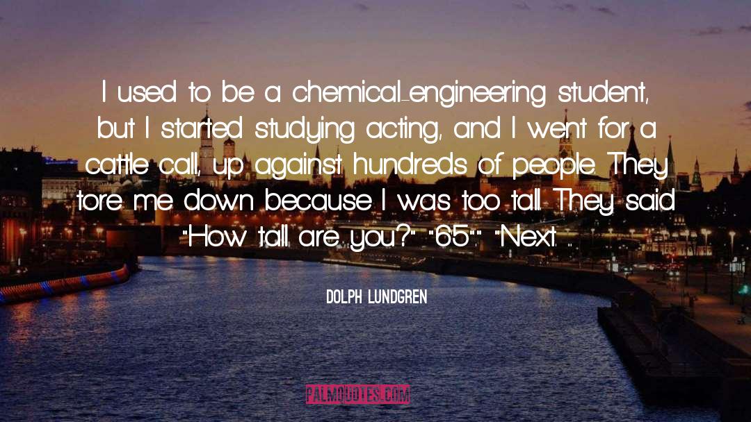 Chemical Engineering quotes by Dolph Lundgren