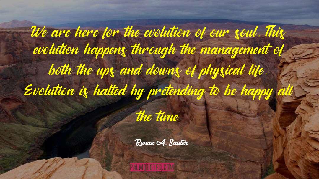 Chemical Evolution quotes by Renae A. Sauter