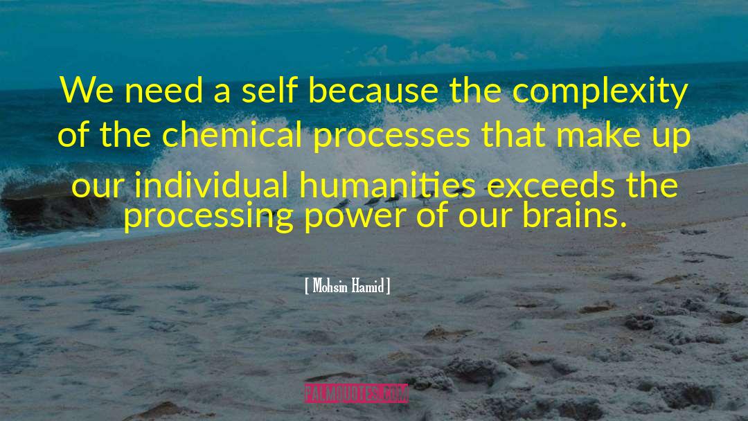 Chemical Processes quotes by Mohsin Hamid