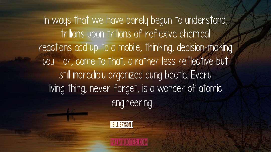 Chemical Reactions quotes by Bill Bryson