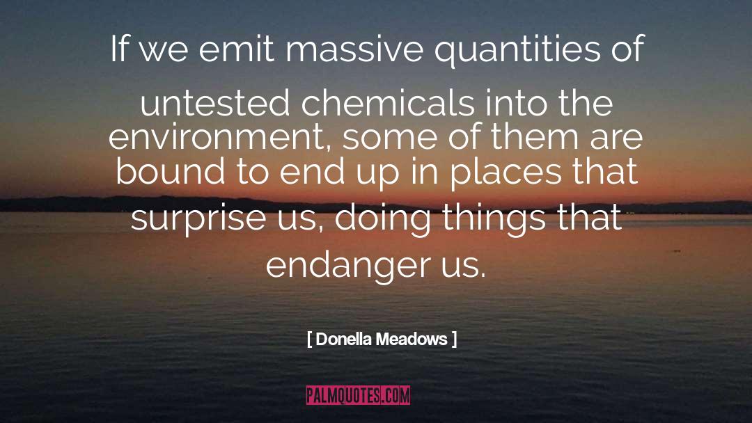 Chemicals quotes by Donella Meadows