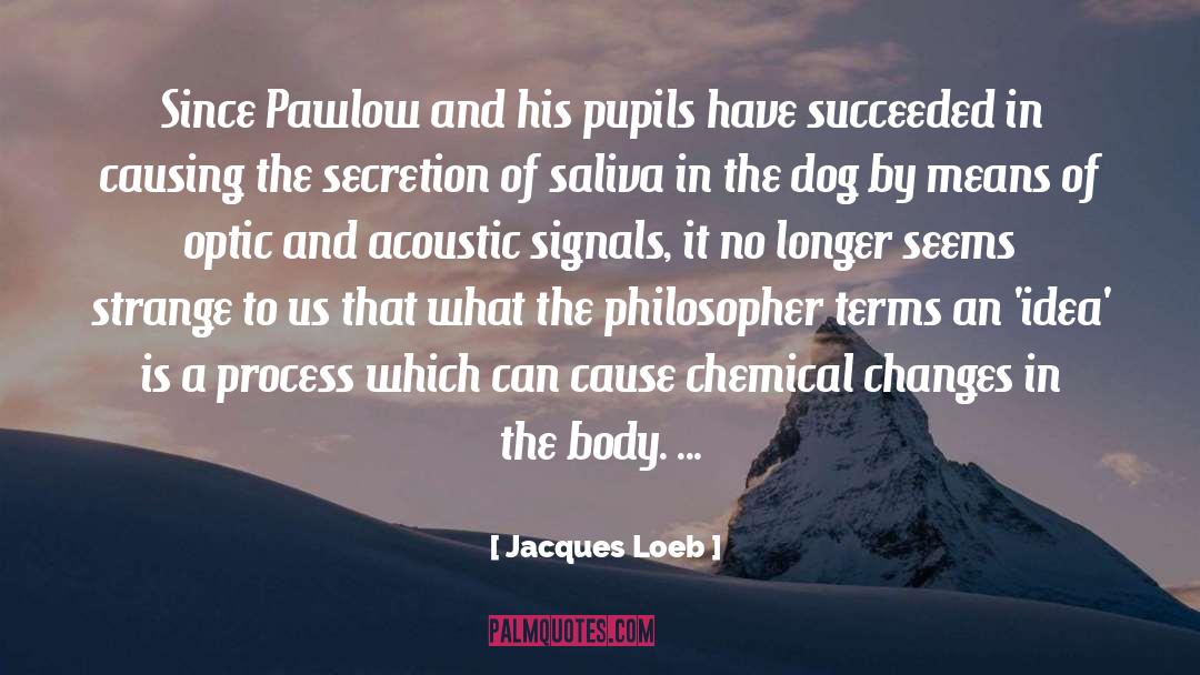Chemistry Parnter quotes by Jacques Loeb