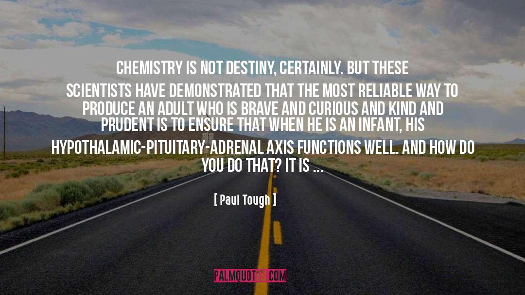 Chemistry quotes by Paul Tough