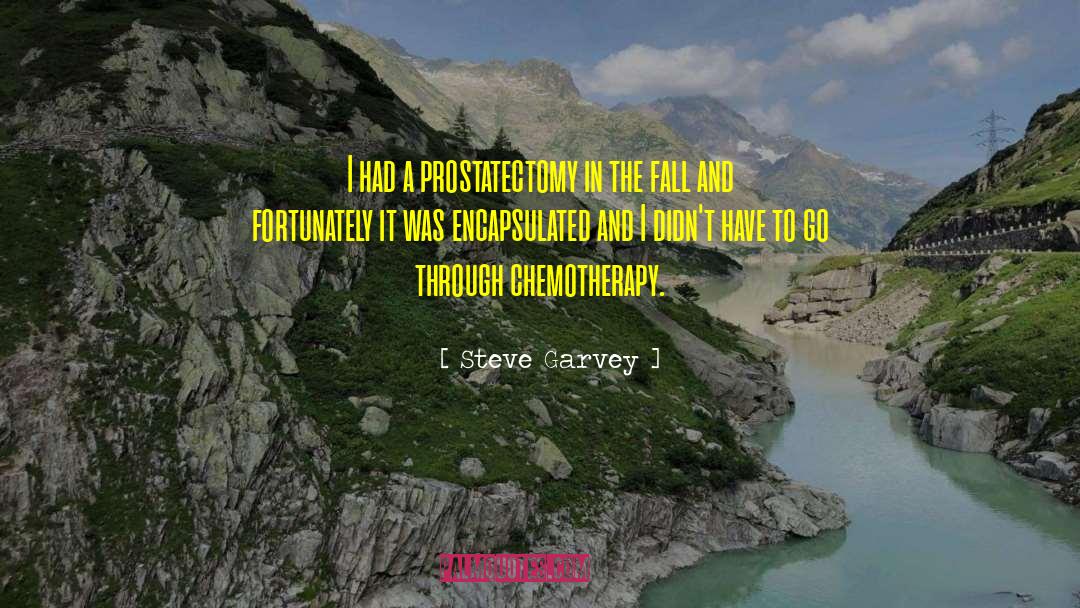 Chemotherapy quotes by Steve Garvey