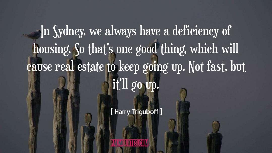Chenette Real Estate quotes by Harry Triguboff