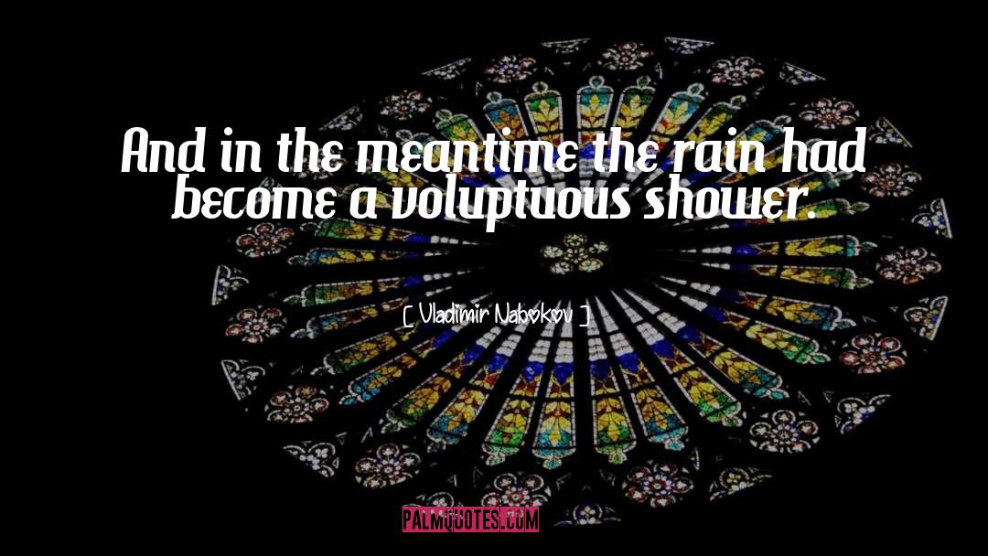Chennai Rain quotes by Vladimir Nabokov