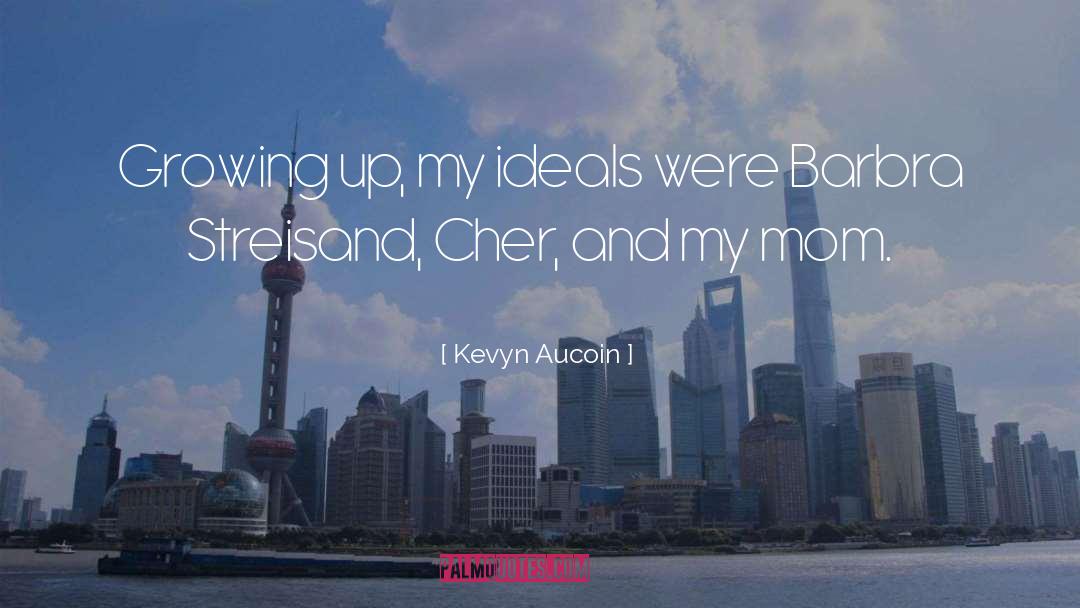 Cher quotes by Kevyn Aucoin