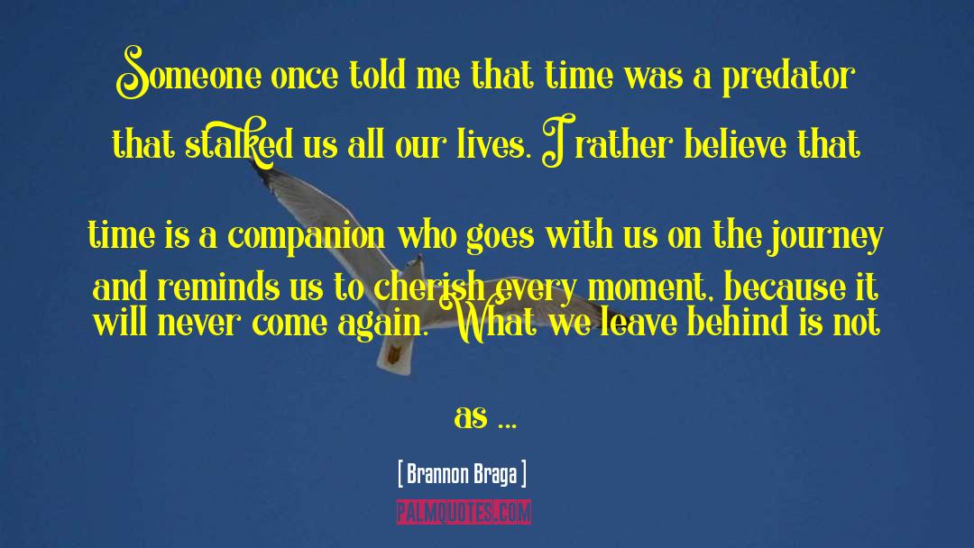 Cherish Every Moment quotes by Brannon Braga