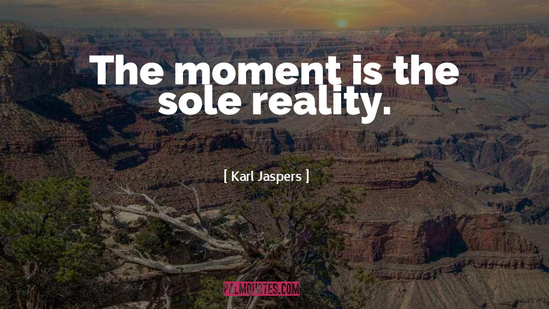 Cherish Every Moment quotes by Karl Jaspers