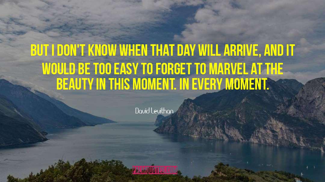 Cherish Every Moment quotes by David Levithan