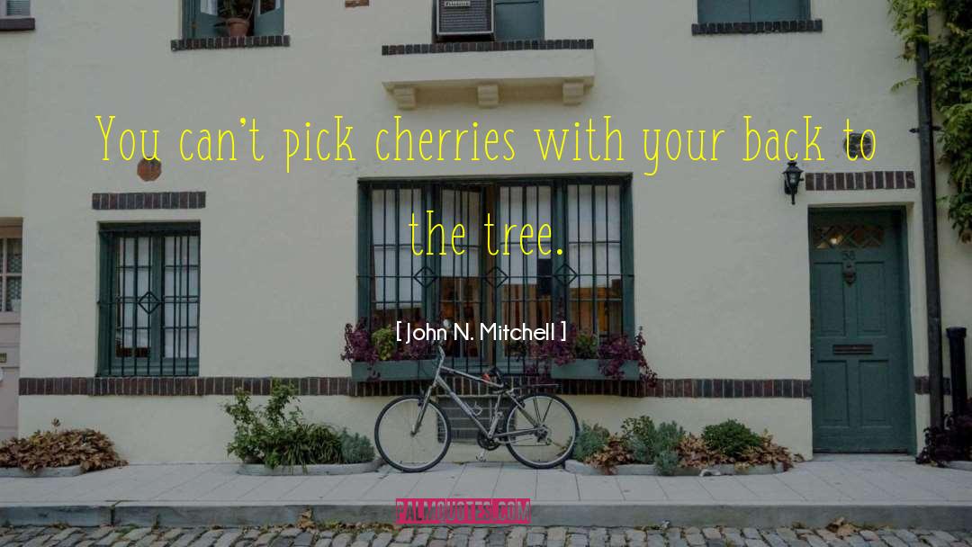 Cherries quotes by John N. Mitchell