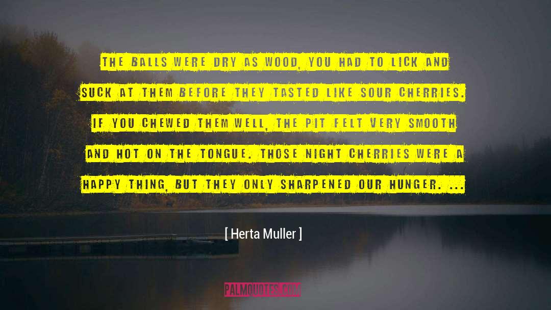 Cherries quotes by Herta Muller