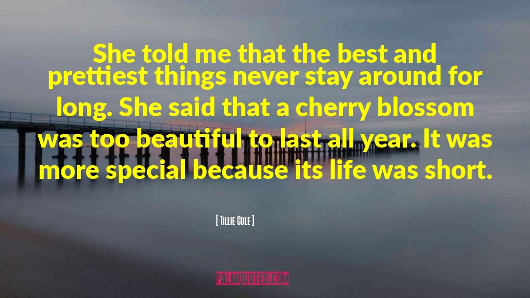 Cherry Blossom quotes by Tillie Cole