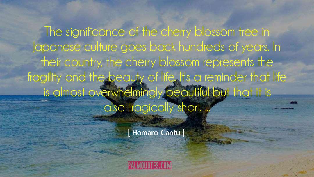 Cherry Blossom quotes by Homaro Cantu