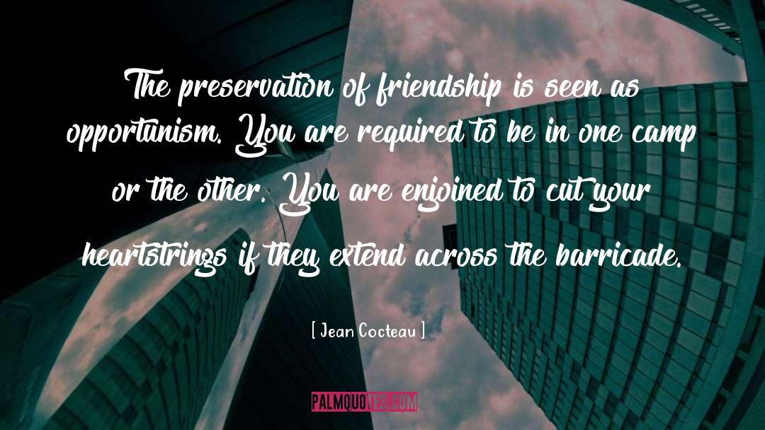 Cherry Friendship quotes by Jean Cocteau