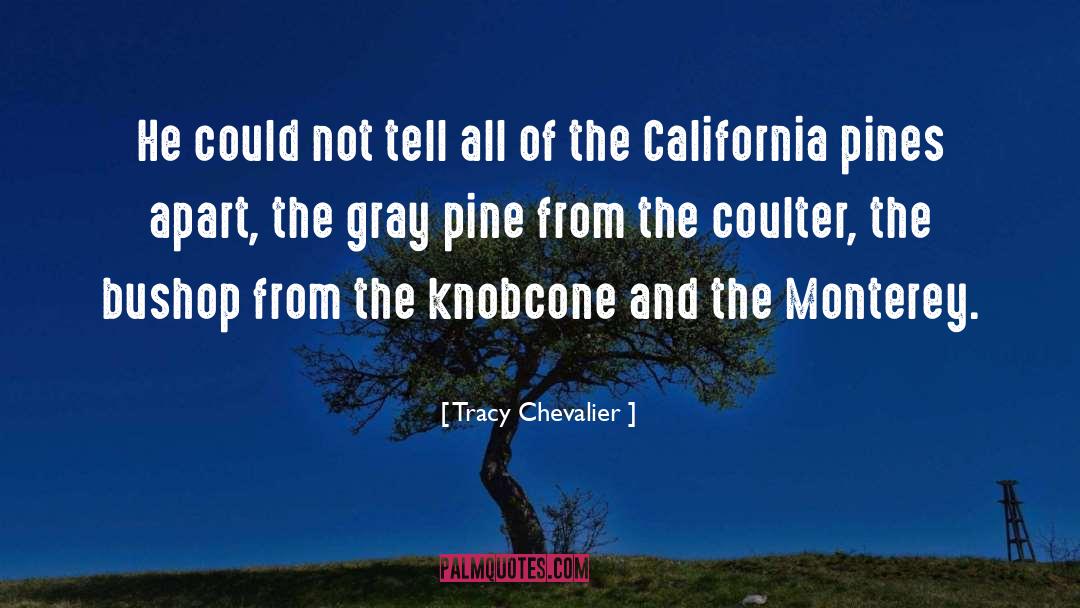 Cherry Trees quotes by Tracy Chevalier