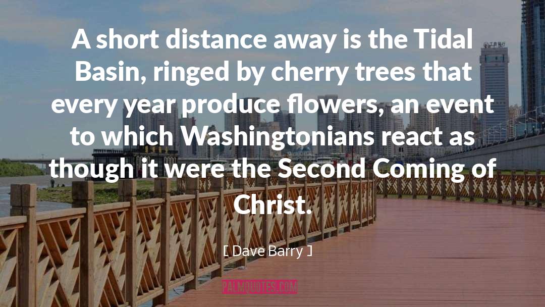 Cherry Trees quotes by Dave Barry