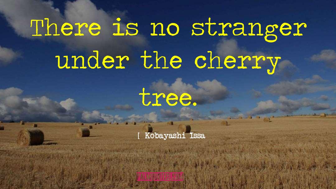 Cherry Trees quotes by Kobayashi Issa