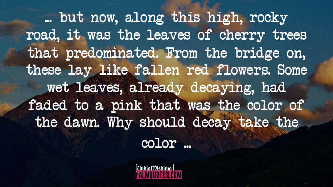 Cherry Trees quotes by Yukio Mishima