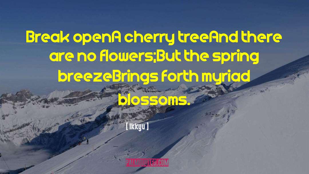 Cherry Trees quotes by Ikkyu