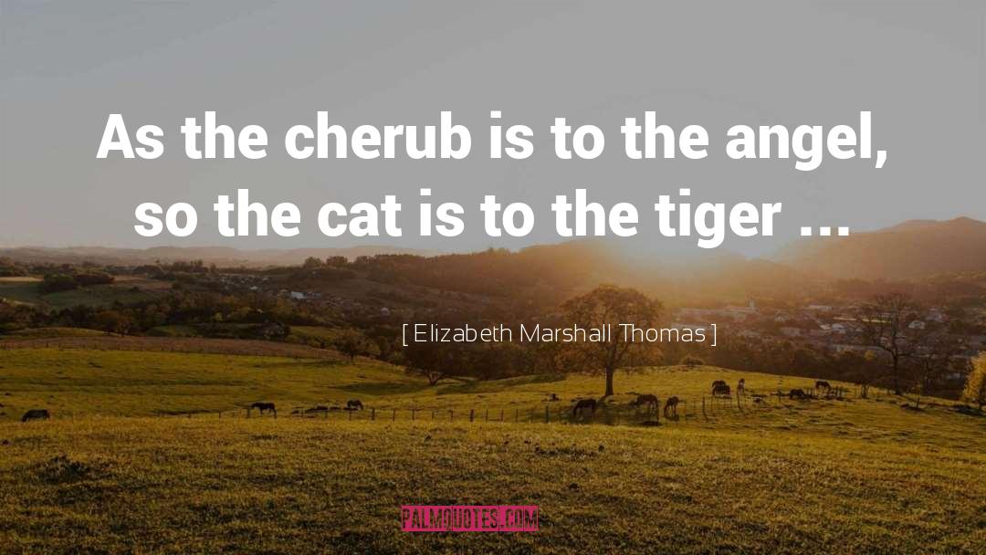 Cherub quotes by Elizabeth Marshall Thomas