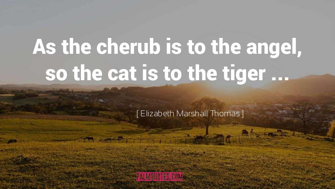 Cherubs quotes by Elizabeth Marshall Thomas