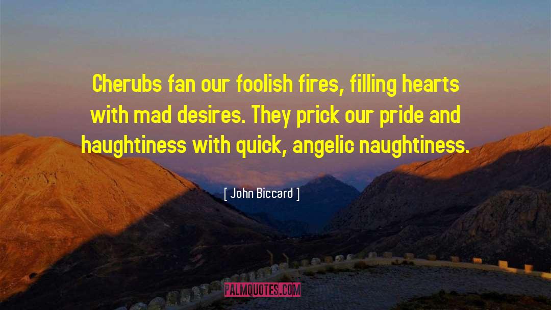 Cherubs quotes by John Biccard