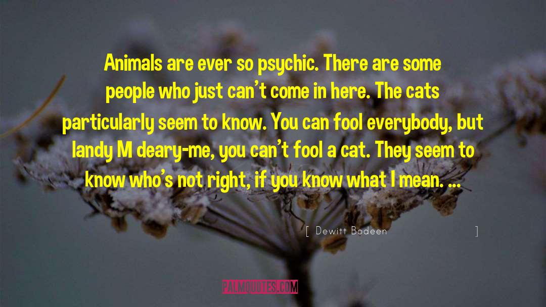 Cheshire Cat quotes by Dewitt Bodeen
