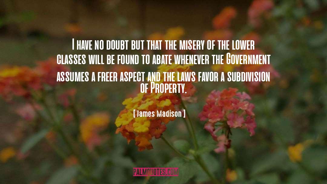 Chesleigh Subdivision quotes by James Madison