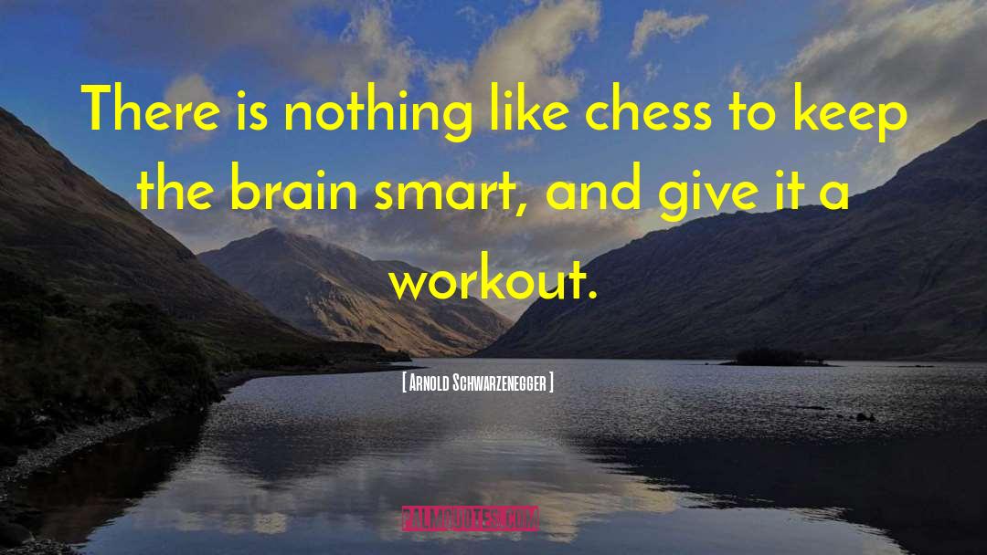 Chess Pawns quotes by Arnold Schwarzenegger