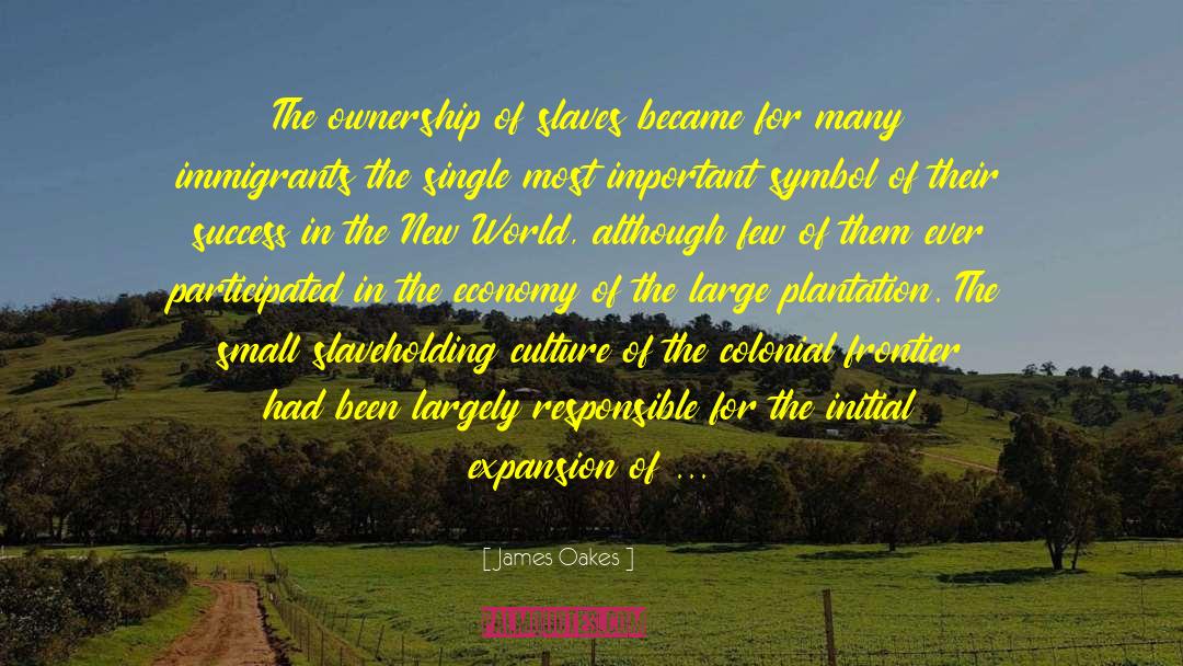 Chesser Plantation quotes by James Oakes