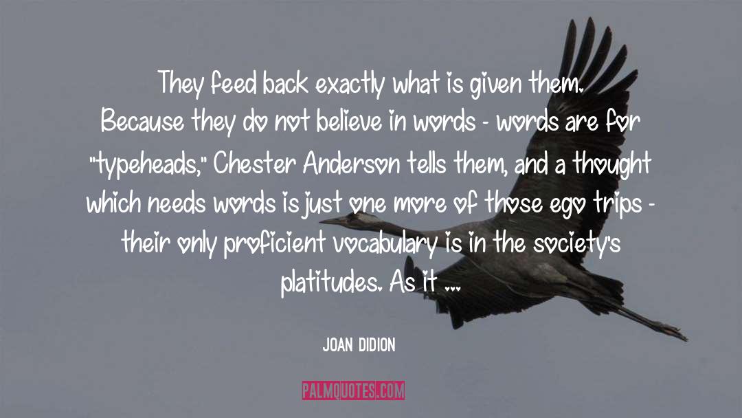Chester S quotes by Joan Didion