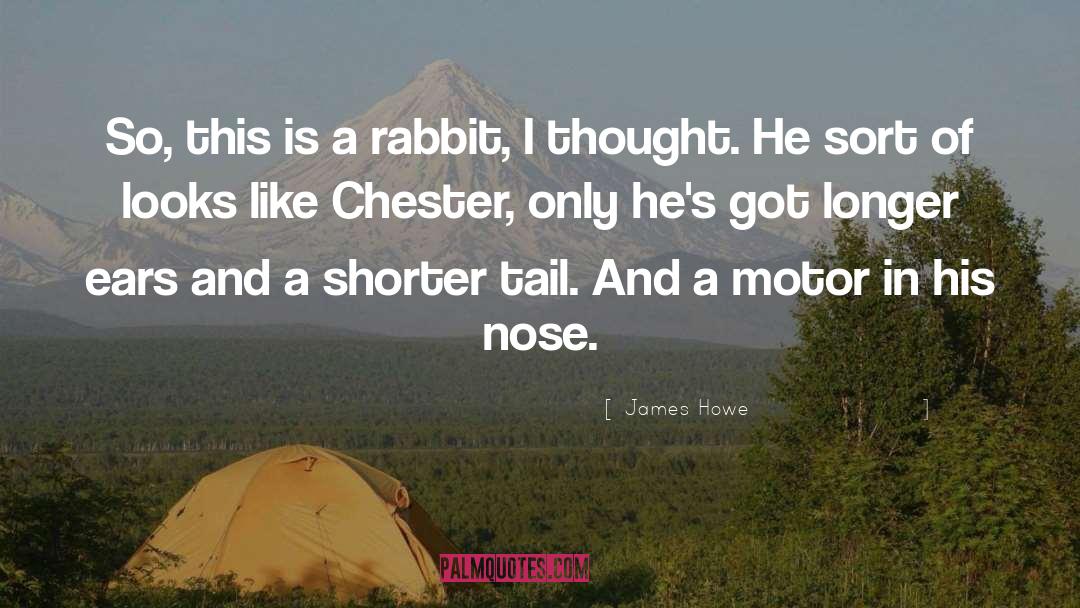 Chester Southam quotes by James Howe